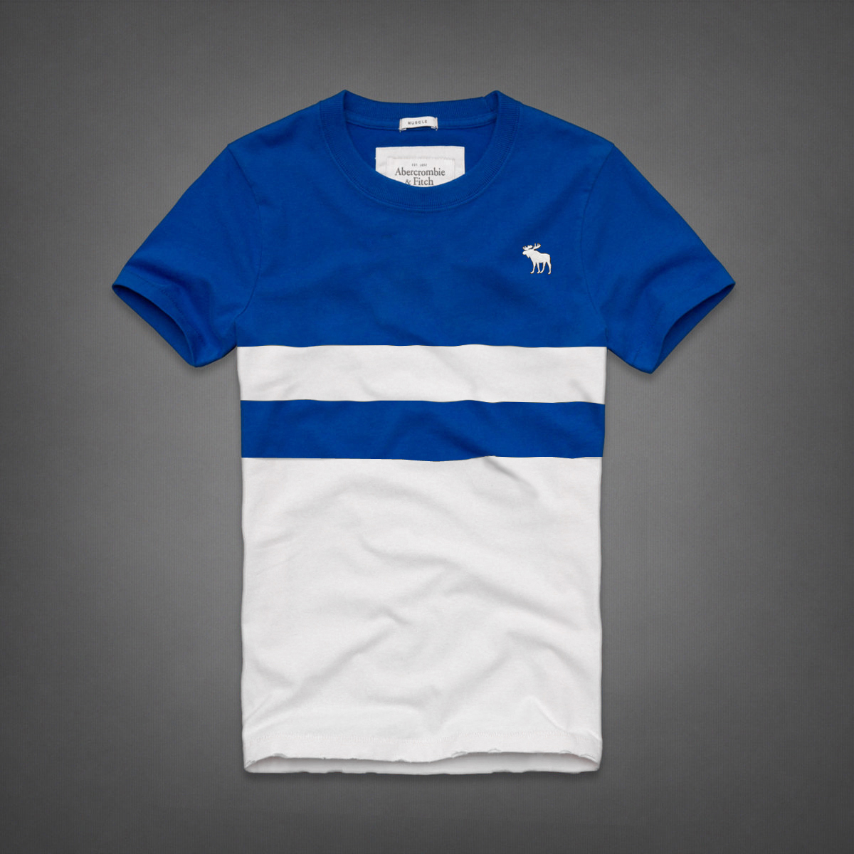 Abercrombie Fitch Hombres De Cuello Redondo Gaza Corto Remera AF5735